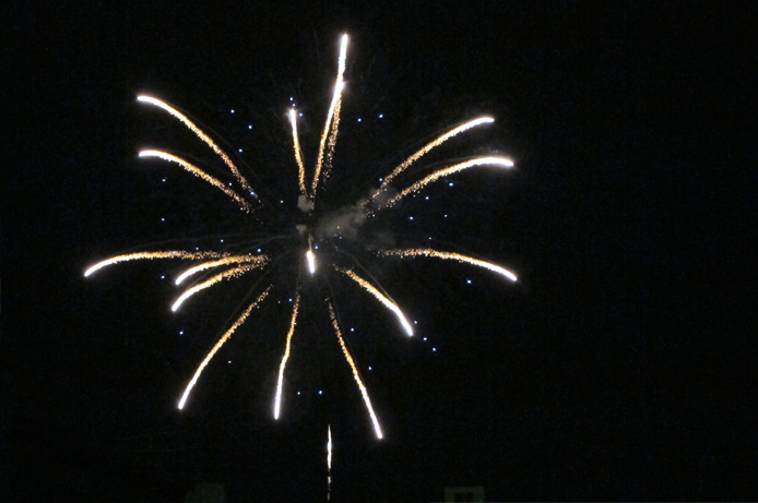 浜松町第一クリニック　大宮院　羊山公園の花火