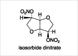 (二)硝酸イソソルビド
